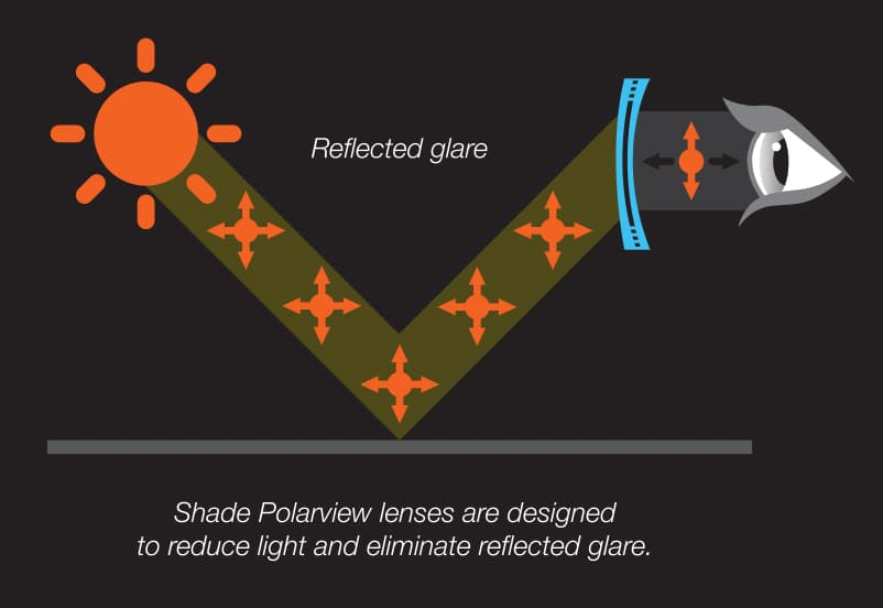 shade-polarview-diagram